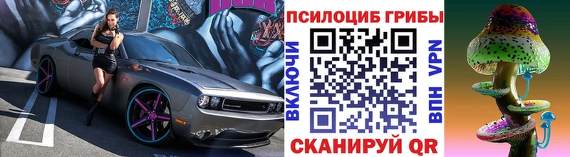 Галлюциногенные грибы Cubensis  Ершов 